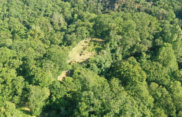 Vestiges de la motte castrale d’Olivet, à Grimbosq. (Photo Rodolphe Corbin © Patrimoine Normand)