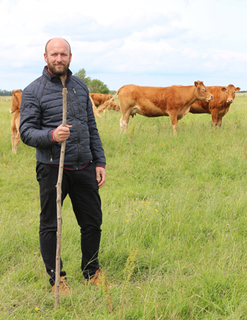 Nicolas Onfroy et son cheptel de limousines exploitent le Domaine d’Utah Beach à Sainte-Marie-du-Mont, une ferme du XVIIe siècle. Le Domaine abrite aussi un hôtel 4 étoiles, des gîtes et le restaurant Chez Arsène. (© www.domaine-utah-beach.com