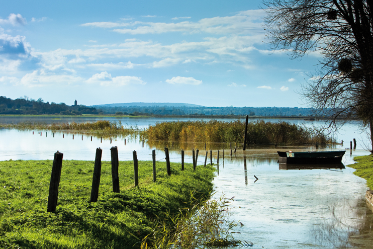 Le parc naturel régional des Marais du Cotentin et du Bessin